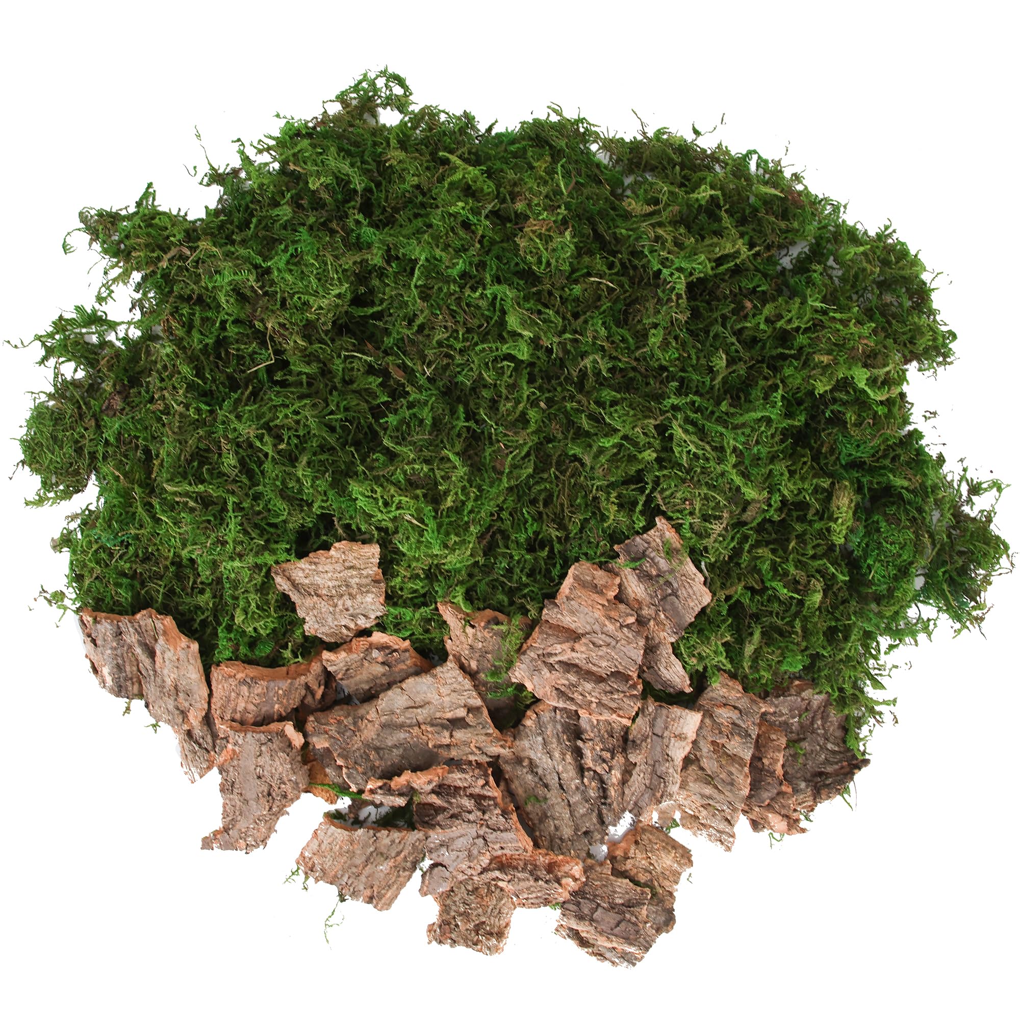 Amazon.com: BYHER Fake Moss for Crafts, Assorted Treebark Fairy